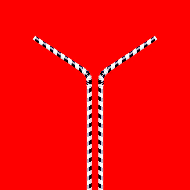 ISLA DE CARAS :: LINEAS GENERALES