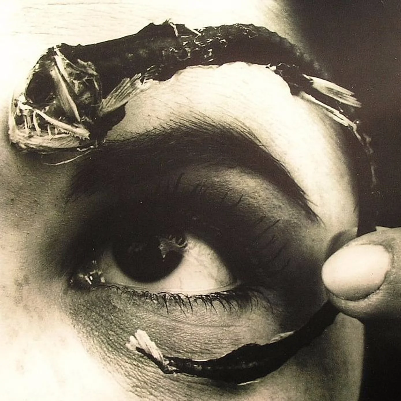 MR. BUNGLE :: DISCO VOLANTE ROCKTOBER (TRANSLUCENT LIGHT BLUE VINYL)