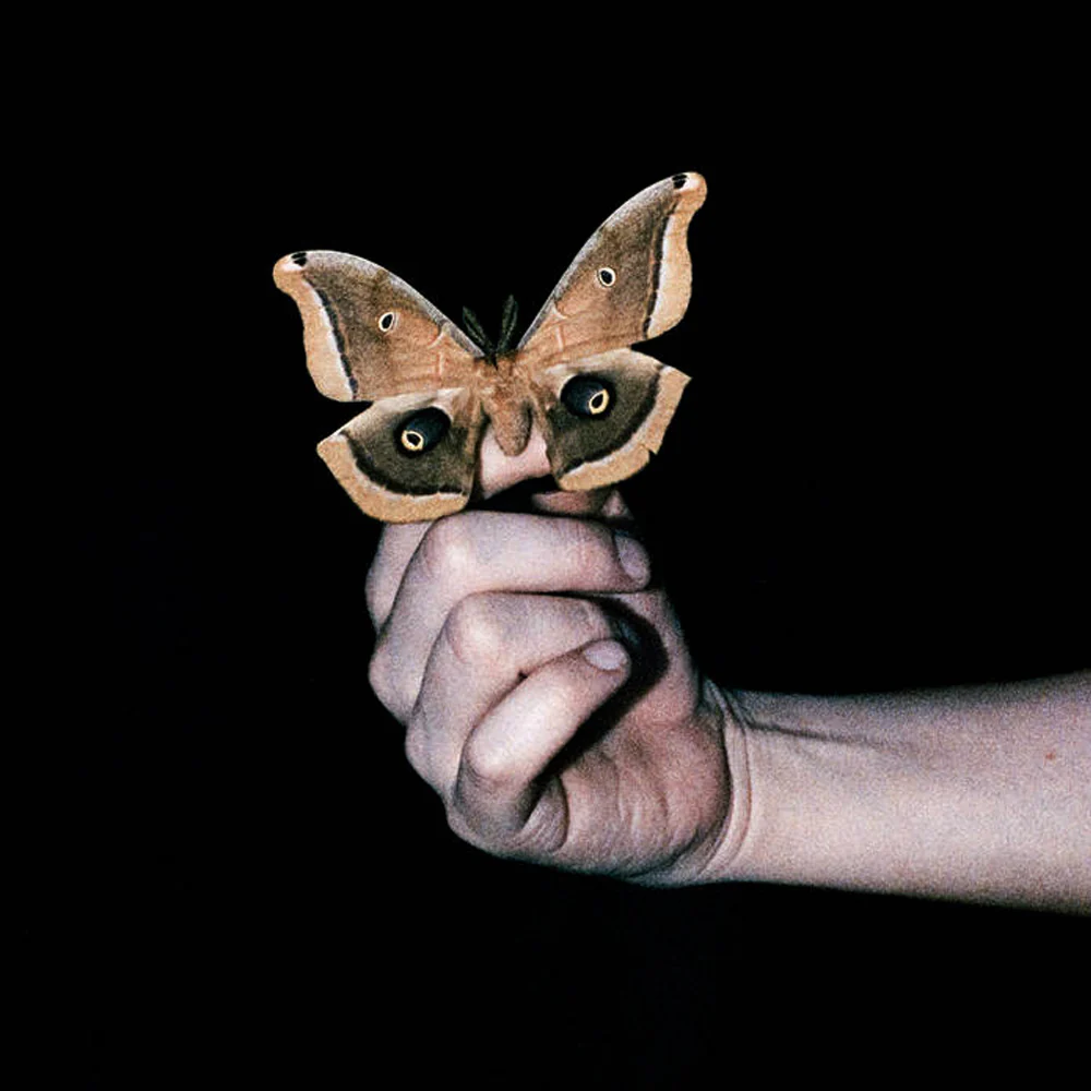 Miniatura 1